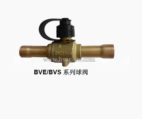 Emerson BVSS-218 Ball And Globe Valve With Test Port -picture-4