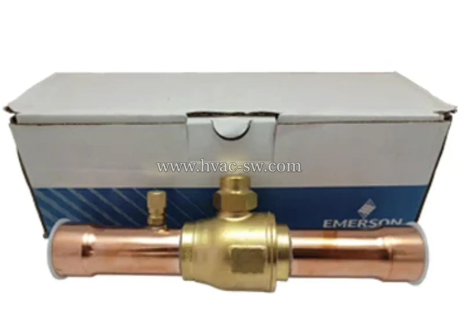 Emerson 81023 BVSS-258 Ball Valve Front View